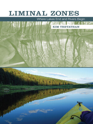 cover image of Liminal Zones
